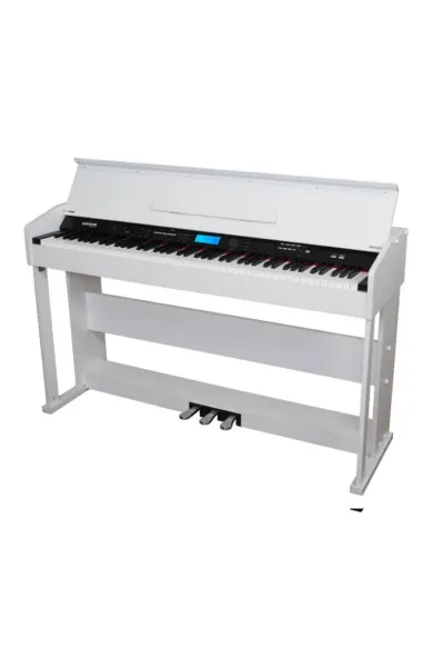 AIWA. PIANO AWMP2008W